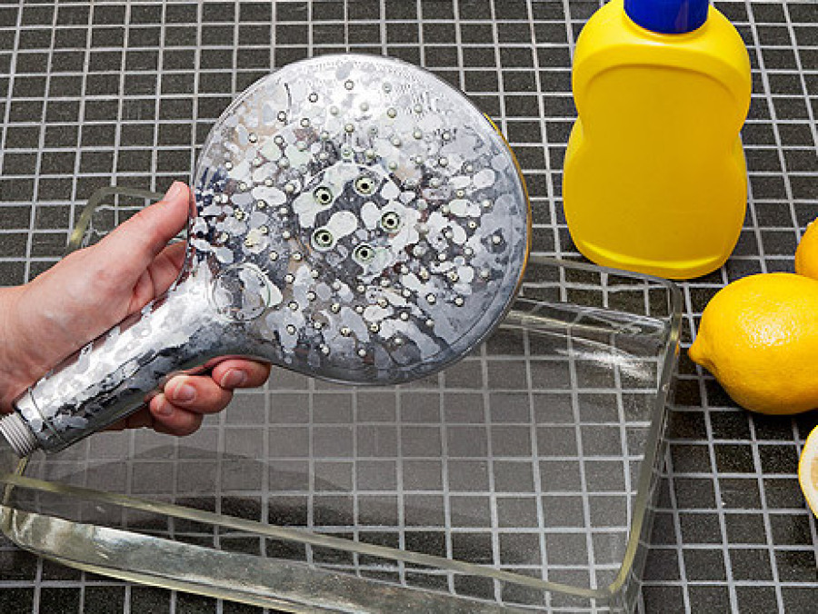 Legionella Shower Heads