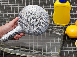 Cleaning and Disinfection