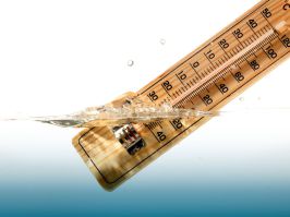 Temperature Monitoring